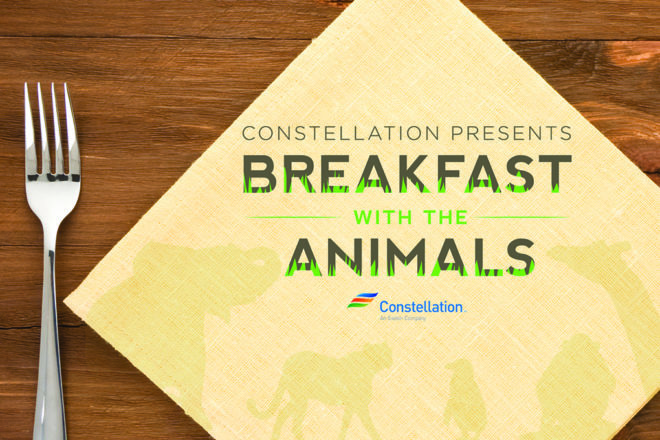 Breakfast with the Animals image