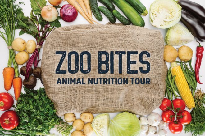 Zoo Bites: Animal Nutrition Tour image