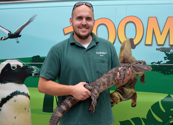 zoo keeper holding reptile