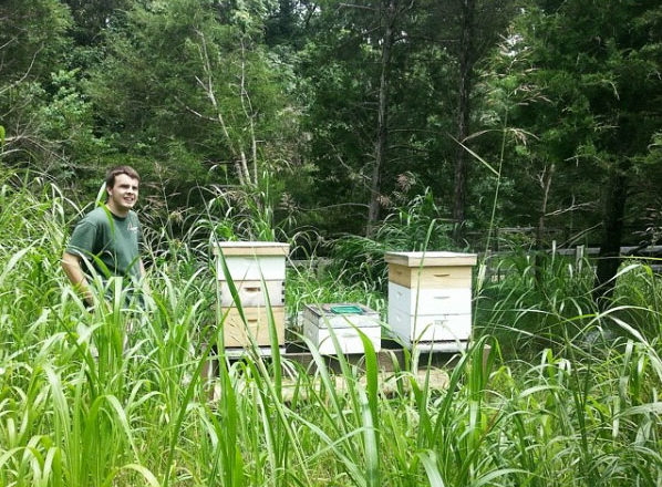 Man standing next to bee boxes