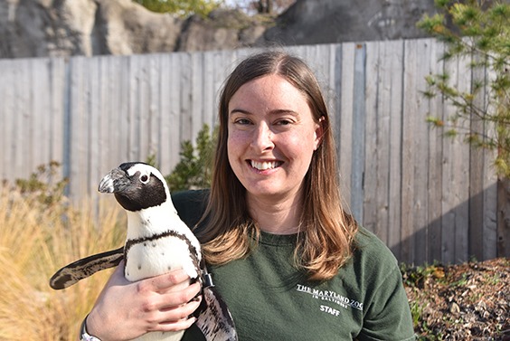 zoo keeper holding penguin