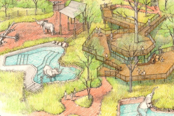 rendering of proposed elephant habitat construction project