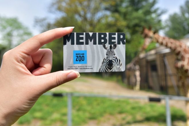 Zoo Memberships image