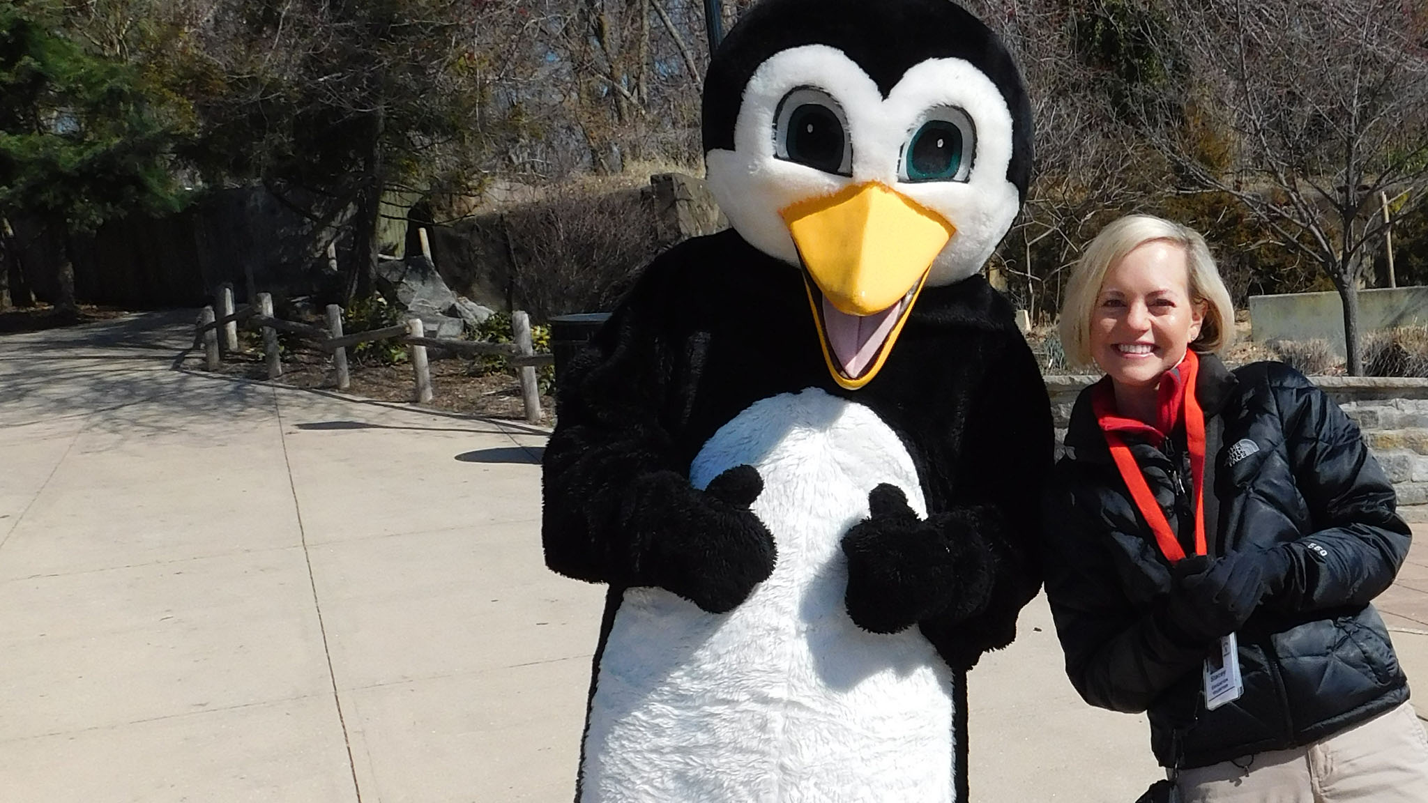 Zoo penguin mascot with volunteer