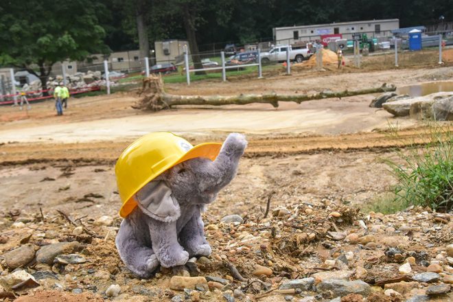 plush elephant near construction