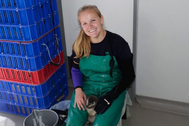 zoo keeper with a penguin