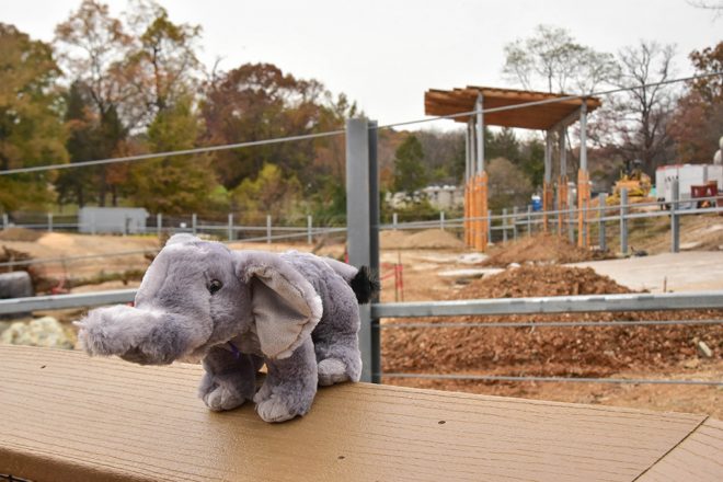 plush elephant outside african journey construction
