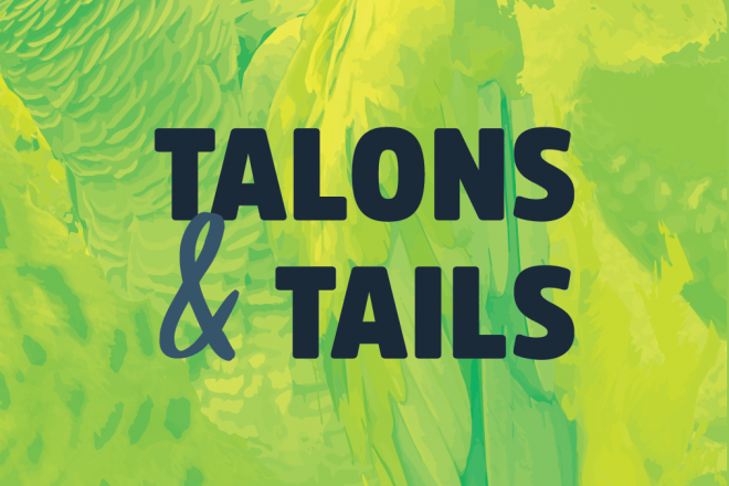 Talons & Tails Encounter image