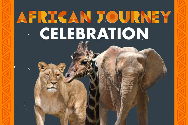 African Journey Celebration