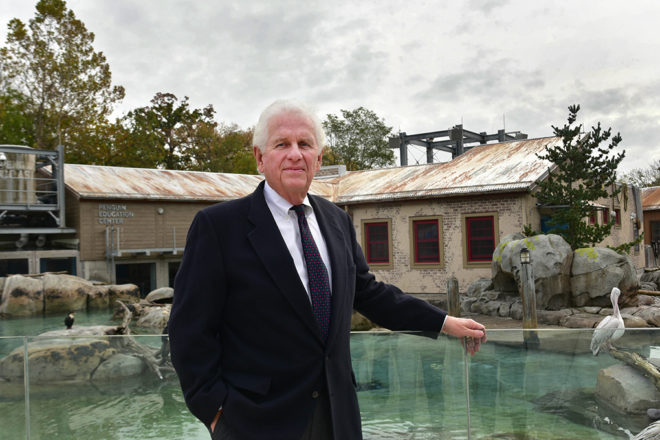 Don Hutchinson in front of penguin exhibit