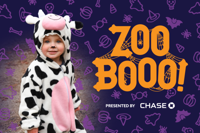 Zoo Boo presented by Chase