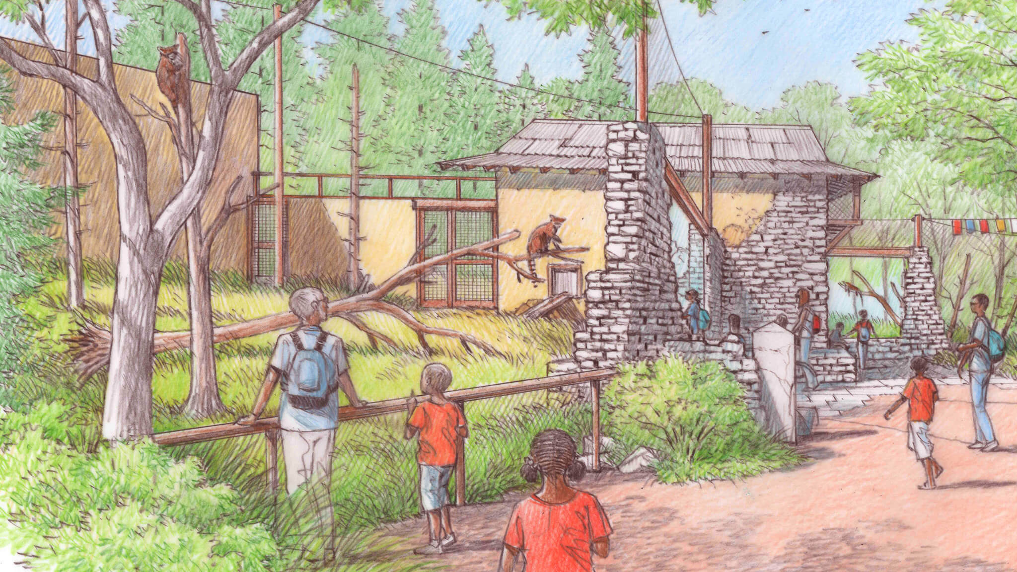 Red Panda habitat concept drawing. Guests using stone bricks and glass to view the Red Panda.