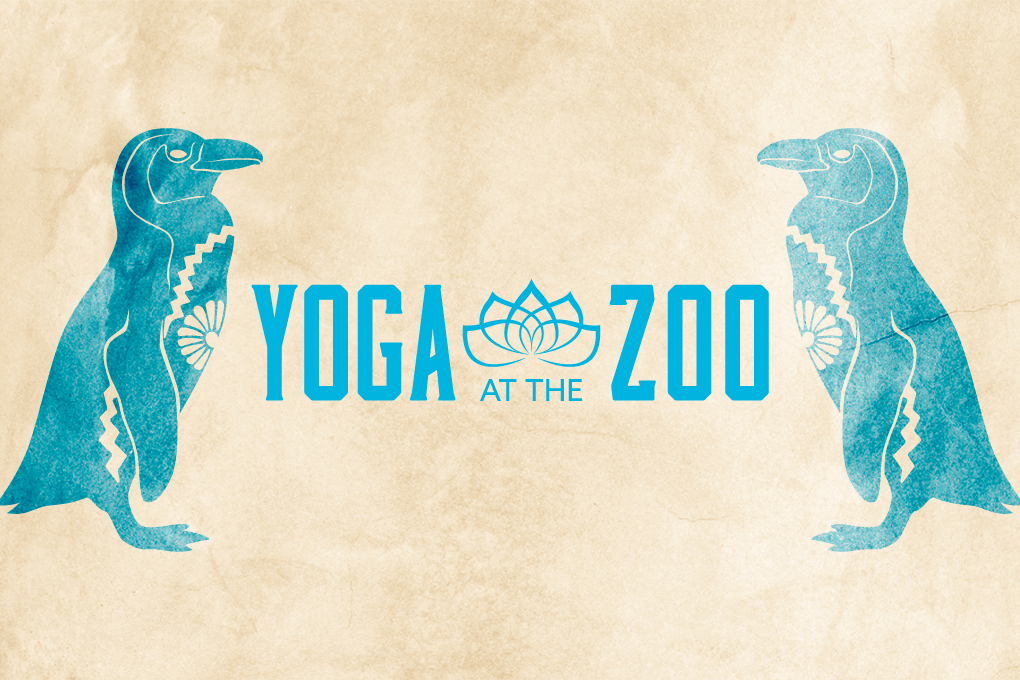 Yoga at the Zoo