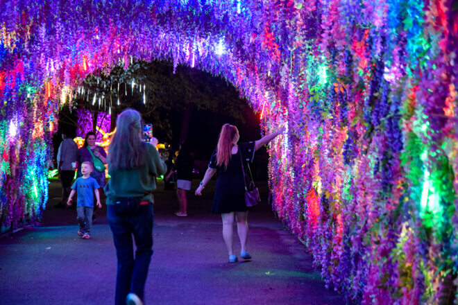 Floral tunnel lit up at night with guests walking through